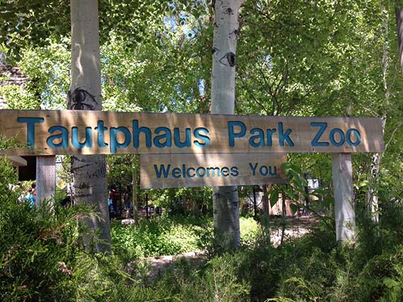 Things to do in Idaho Falls - visit the exotic animals at Tautphaus Zoo