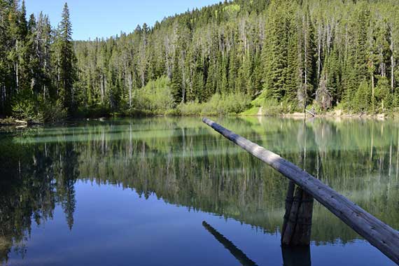 Things to do in Idaho Falls - go for a swim at Packsaddle Lake