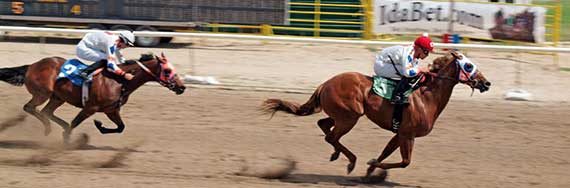 Things to do in Idaho Falls - watch the horse races at Sandy Downs