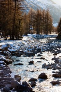 See the Snake River Greenbelt